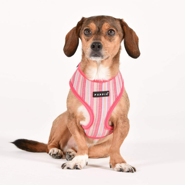 Puppia Theros Dog Harness – Stylish Comfort for Every Walk - Pink