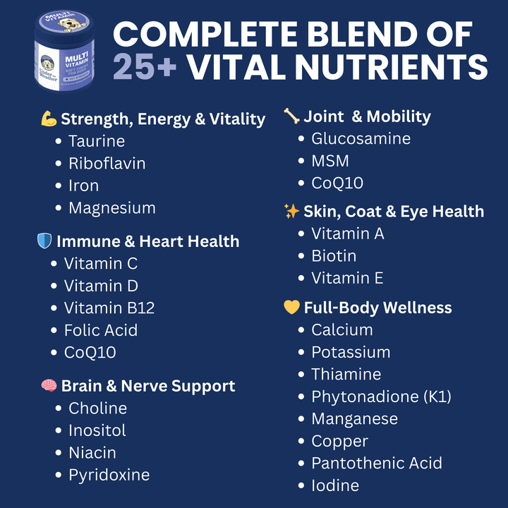 Multivitamin Daily Support Chews For Dogs