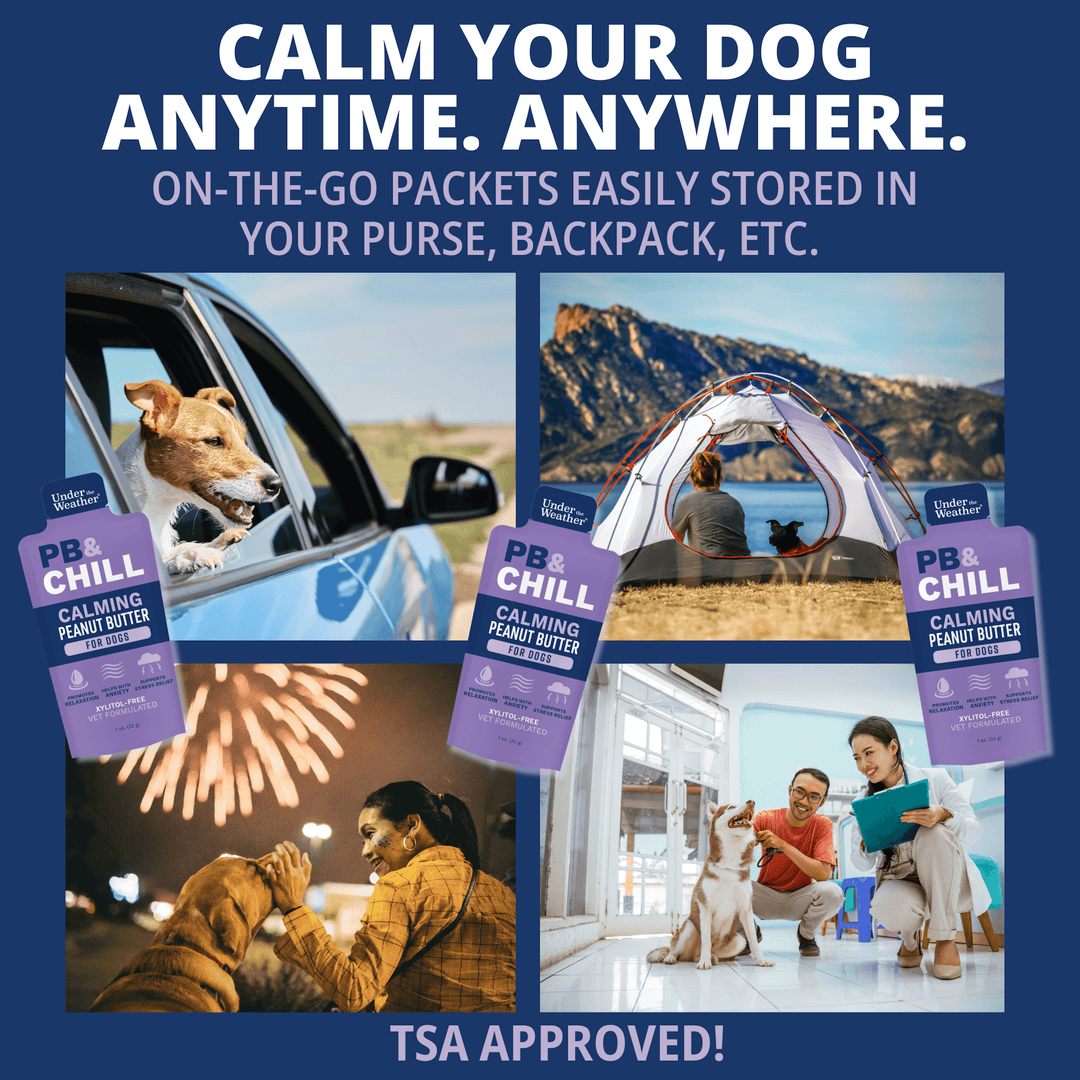 PB & Chill Calming Peanut Butter Packets For Dogs