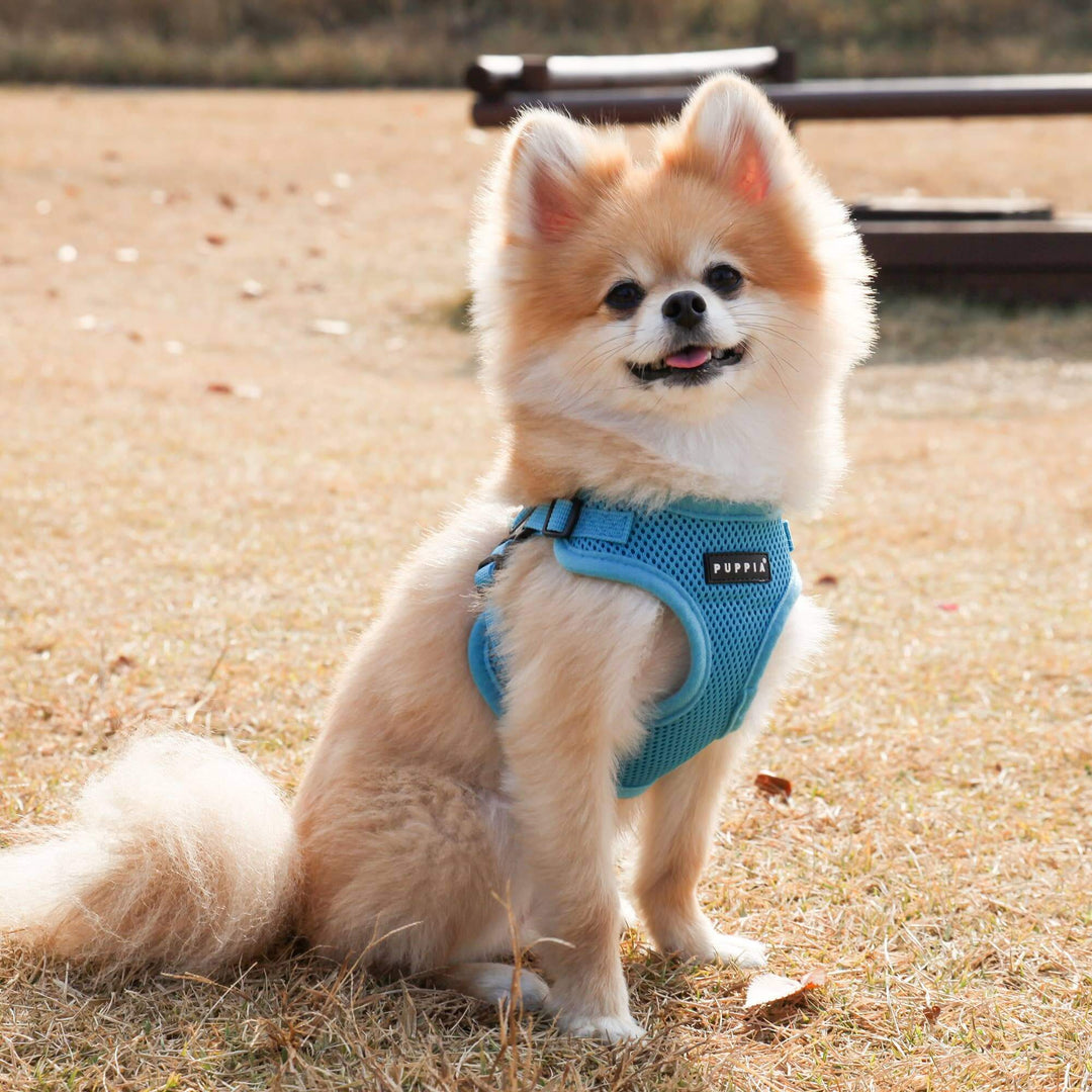 Puppia Soft C Dog Harness – Lightweight, Comfortable & Secure - Sky Blue