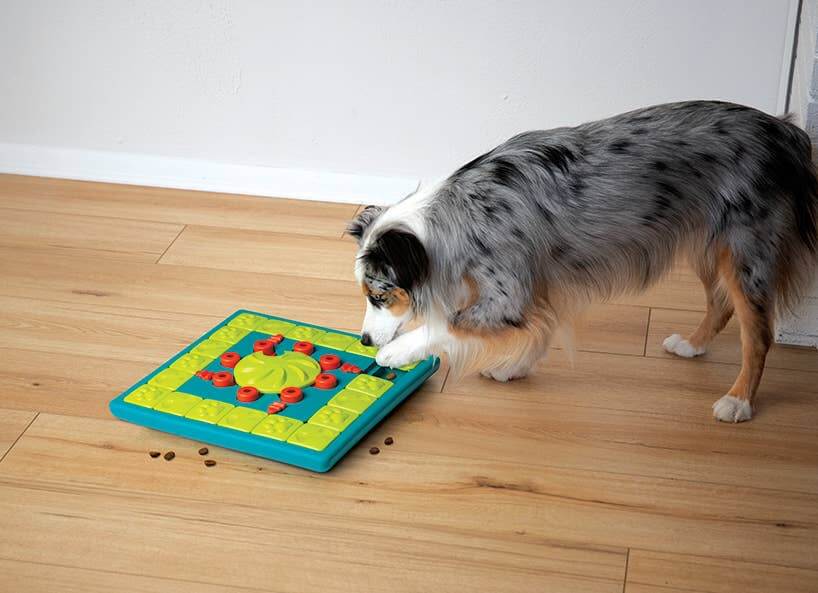 Juguete interactivo multipuzzle para perros Nina Ottosson