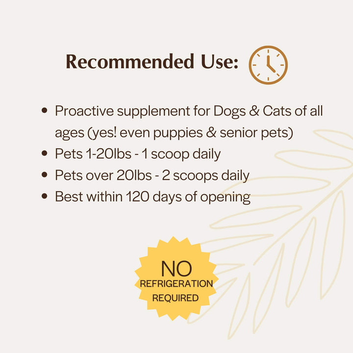 Polvo postbiótico para la salud intestinal Pet Releaf Rituals