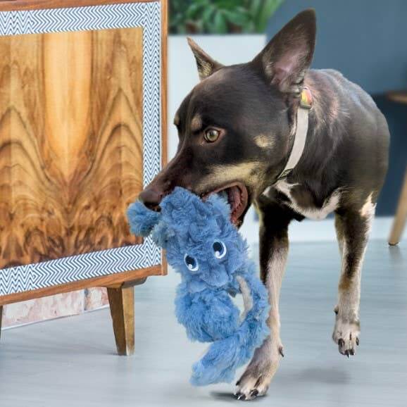 KONG® Scrumplez Critters: Diversión interactiva y comodidad envolvente