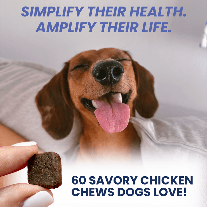 Multivitamin Daily Support Chews For Dogs