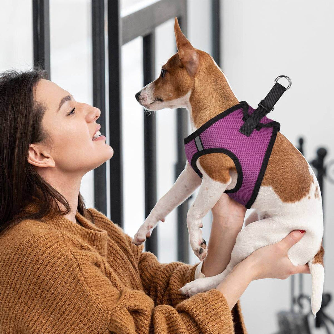 York Mesh Harness – Hot Pink