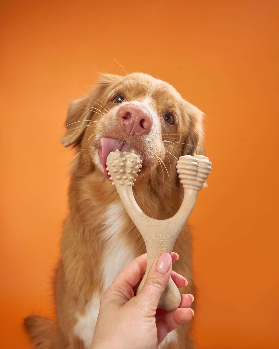 BetterBone HARD Grande - Duradero, totalmente natural, sin nailon, sostenible, masticable
