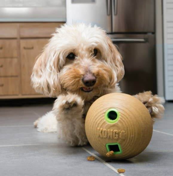 Juguete de enriquecimiento para perros KONG® Bamboo Feeder Ball, tamaño mediano