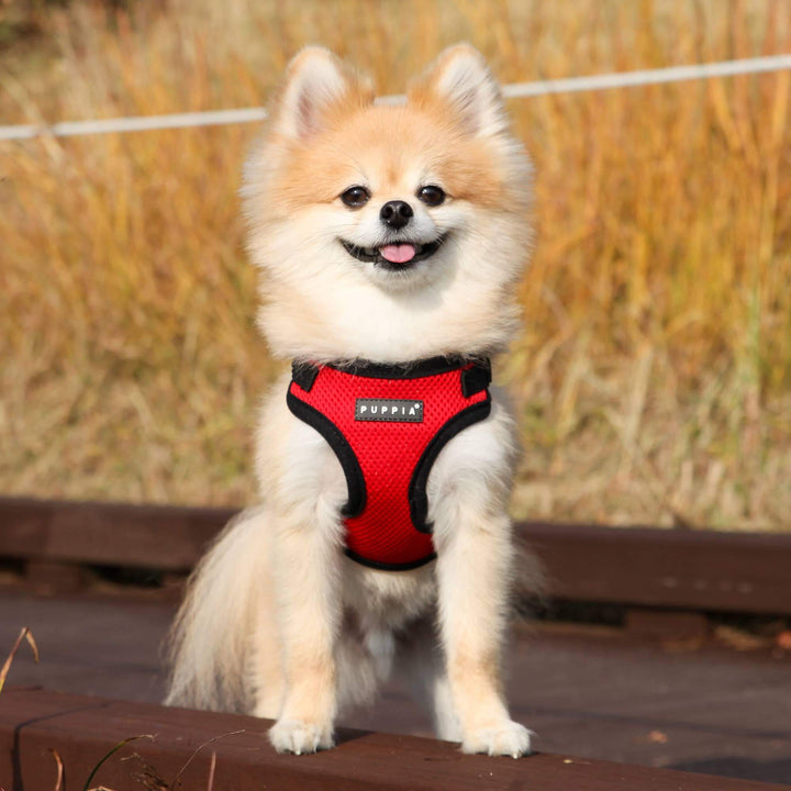 Puppia Soft C Dog Harness – Comfortable, Secure & Lightweight - RED