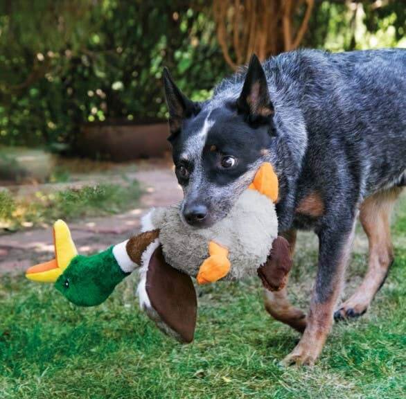 KONG® Shakers Honkers Duck: ¡Agita, mastica, busca y juega!