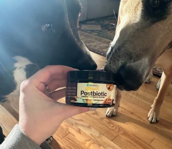 Polvo postbiótico para la salud intestinal Pet Releaf Rituals