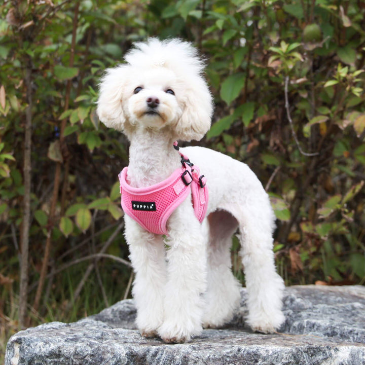 Puppia Soft C Dog Harness – Comfortable, Secure & Lightweight - PINK