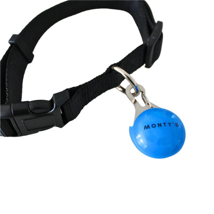 USB Rechargeable Flashing Dog Collar/Harness Light  - Blue