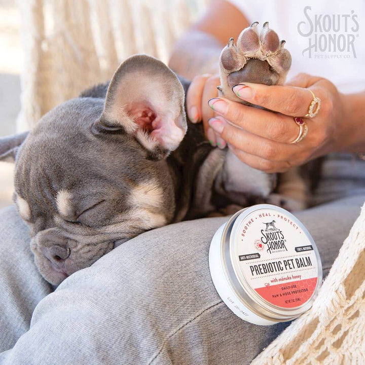 Bálsamo prebiótico para mascotas de Skout: ¡alivio calmante para patas y narices!