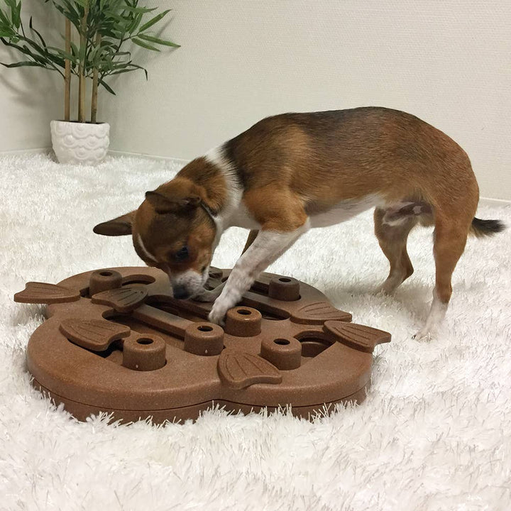 Small brown and white dog using paws and nose to move pieces on the Hide N’ Slide treat puzzle—ideal for indoor play and training sessions.