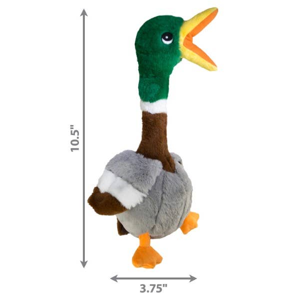 Plush duck-shaped dog toy measuring 10.5 inches tall and 3.75 inches wide. Features a green head, brown neck, gray body, orange beak, and feet for interactive play.