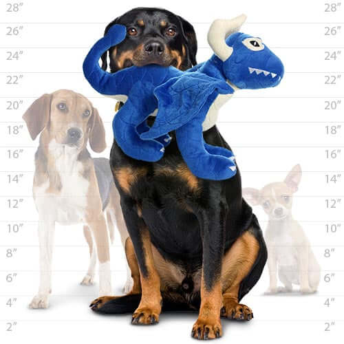 Large Rottweiler holding blue dragon plush dog toy in mouth, size comparison chart in background