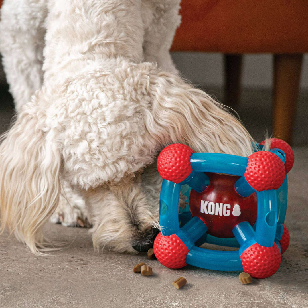 White curly-haired dog playing with KONG Tinker treat toy, dispensing kibble on floor.