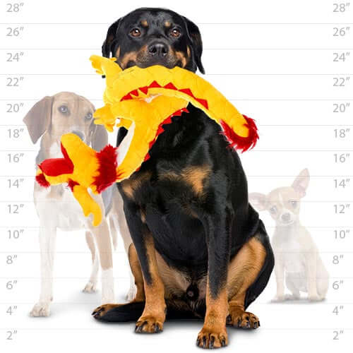 Large black Rottweiler holding a yellow dragon plush dog toy in its mouth, with size comparison chart showing toy's scale.