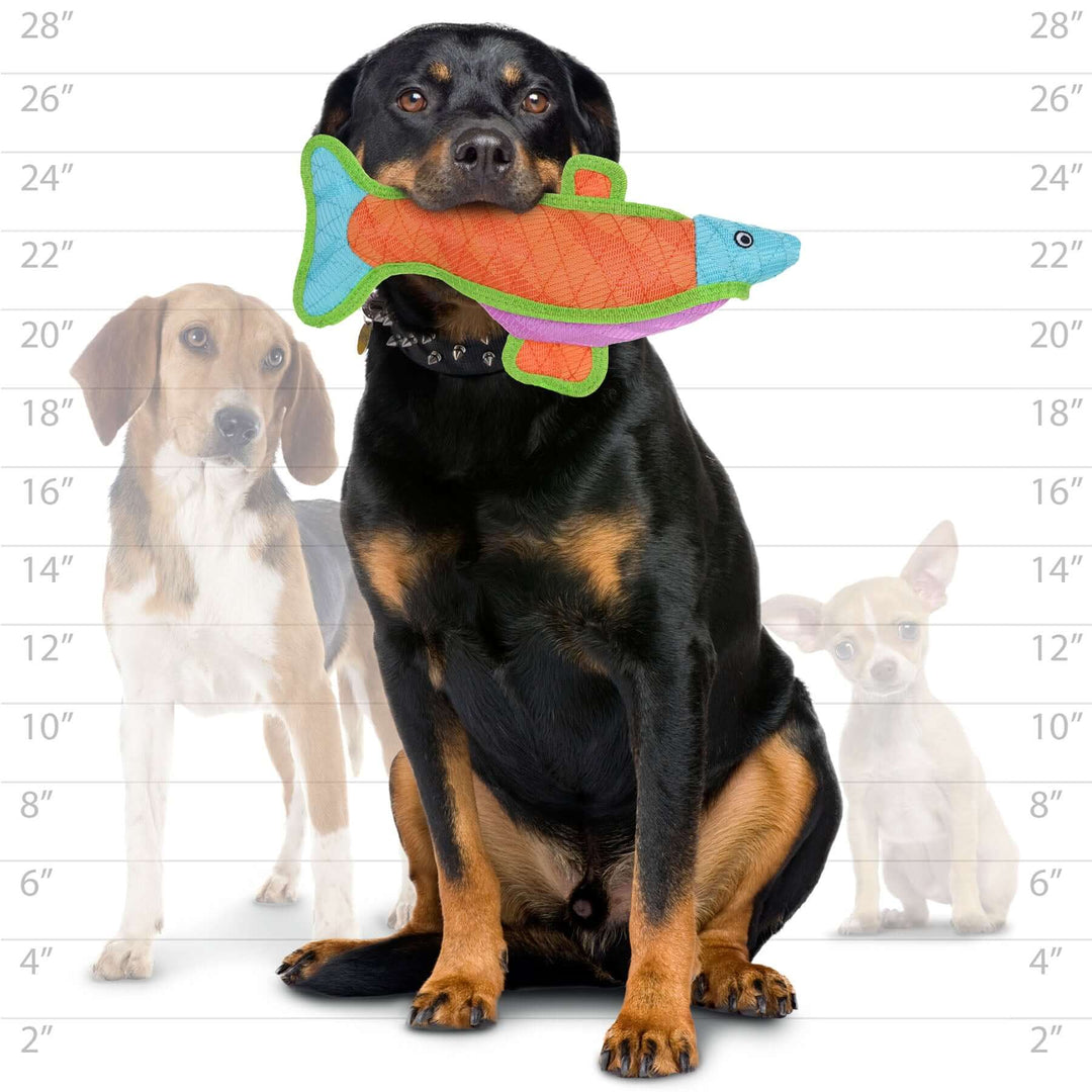 Large black and tan dog holding the DuraForce fish toy, ideal for medium to large dog breeds