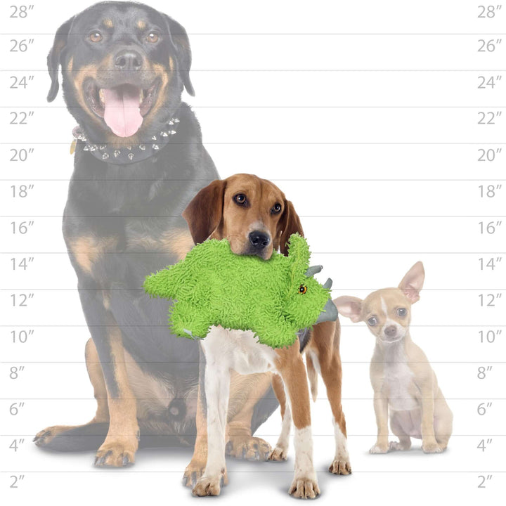 Medium-sized dog holding green triceratops dog toy, scale chart shows suitable for small to large dogs