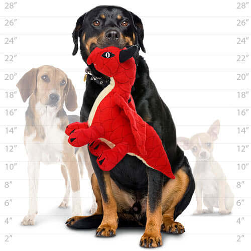 Large black and tan Rottweiler holding a red dragon dog toy, with size comparison chart and other dogs in background.