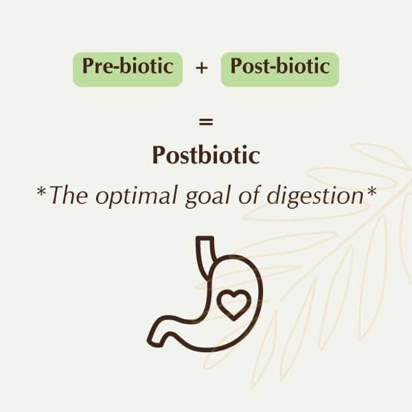 Polvo postbiótico para la salud intestinal Pet Releaf Rituals