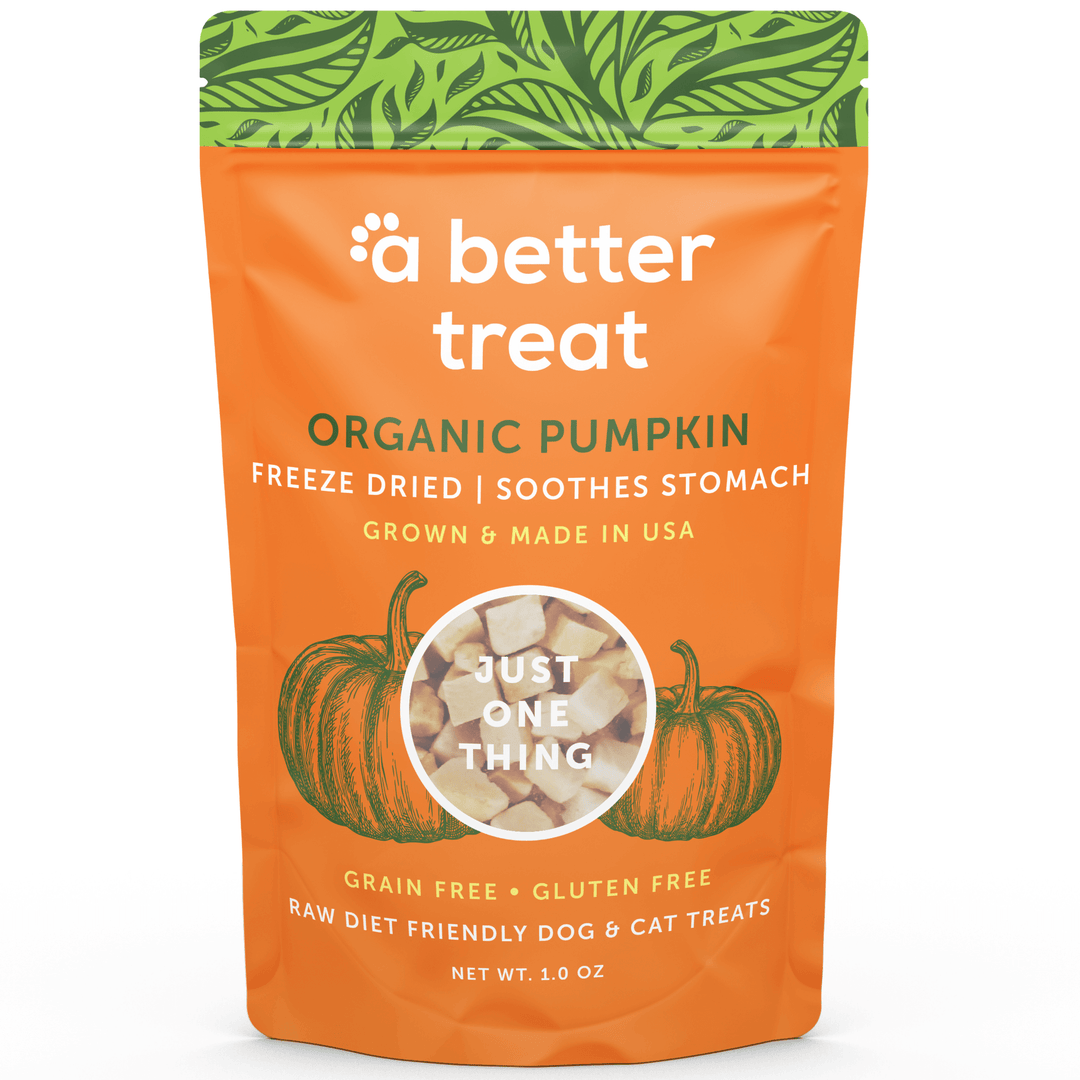 Orange package of 'a better treat' organic pumpkin freeze-dried dog and cat treats with green leaf design on top.