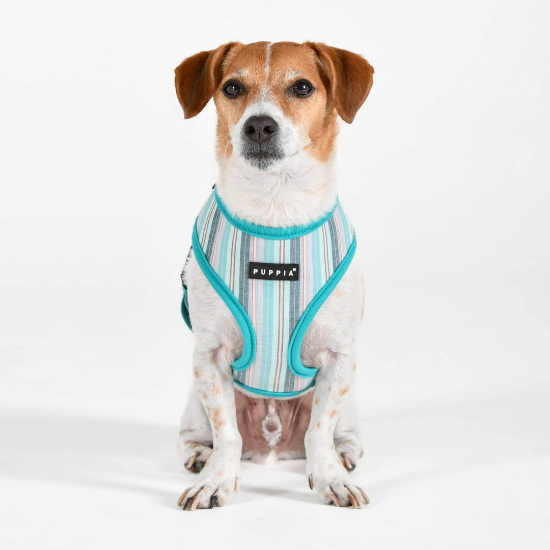 Puppia Theros Dog Harness – Stylish Comfort for Every Walk - Aqua