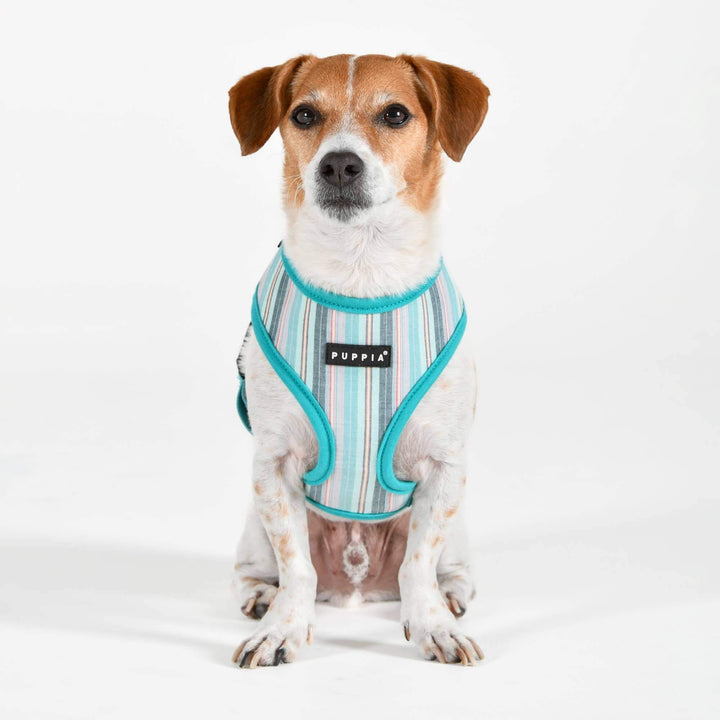 Puppia Theros Dog Harness – Stylish Comfort for Every Walk - Aqua