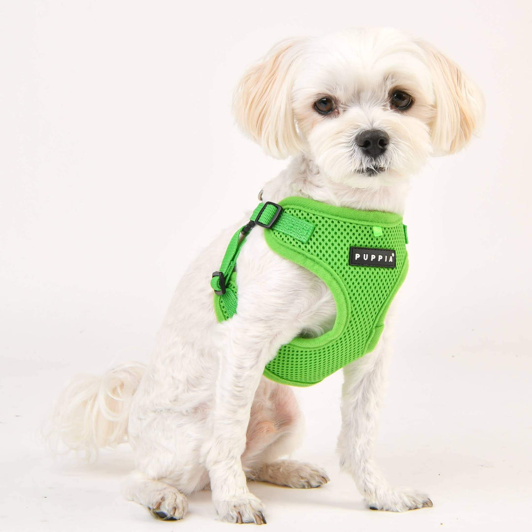 Puppia Soft C Dog Harness – Comfortable, Secure & Lightweight - GREEN