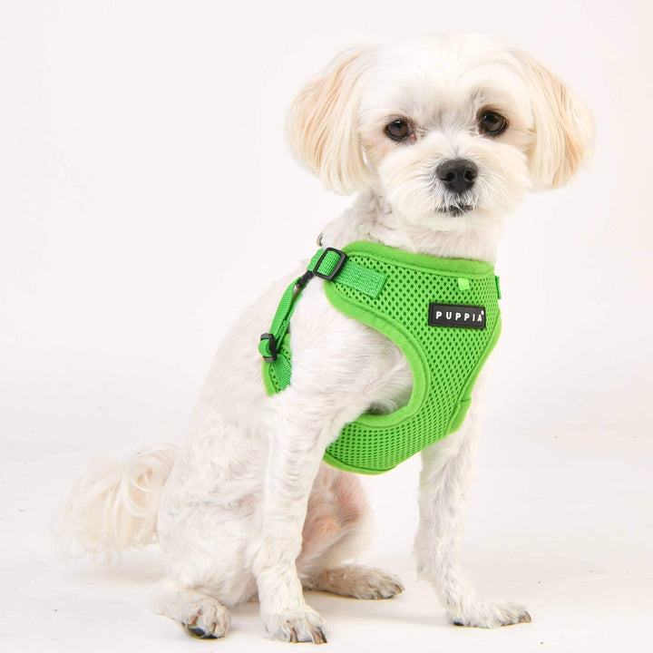 Puppia Soft C Dog Harness – Comfortable, Secure & Lightweight - GREEN