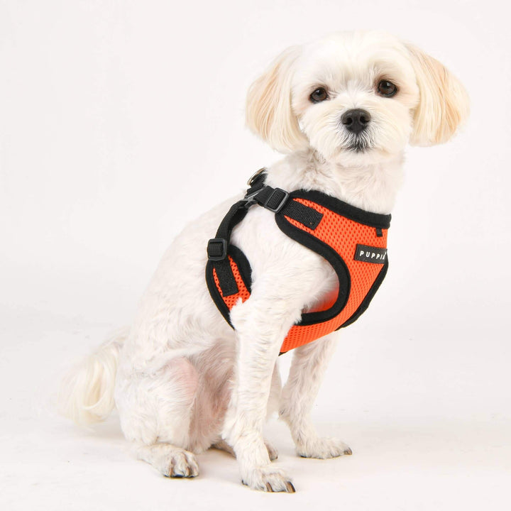 Puppia Soft C Dog Harness – Comfortable, Secure & Lightweight - ORANGE