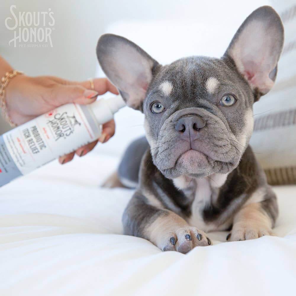 Skout's Probiotic Itch Relief Spray – Soothes & Hydrates Itchy Skin! 8 oz