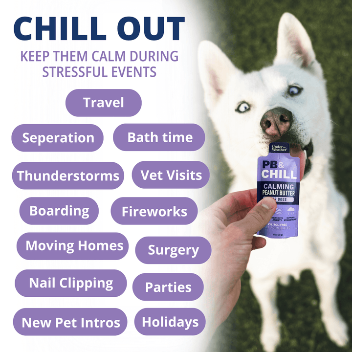 PB & Chill Calming Peanut Butter Packets For Dogs
