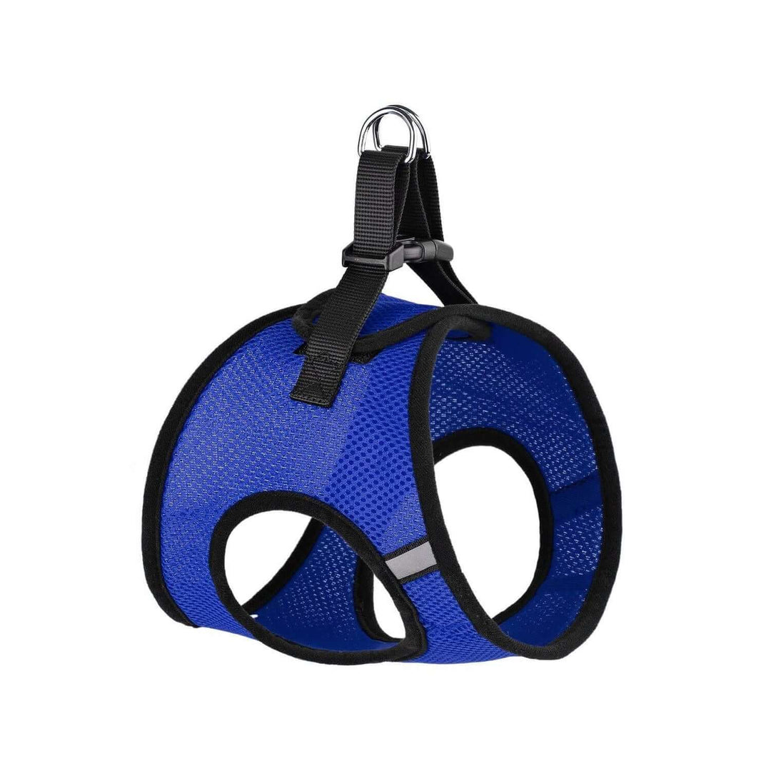 York Mesh Harness - Royal Blue