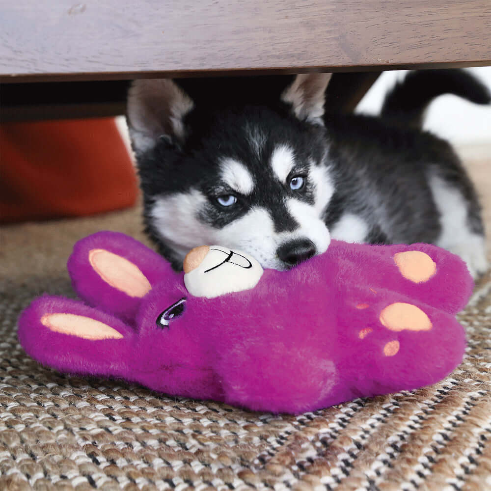 Plush and Cuddle