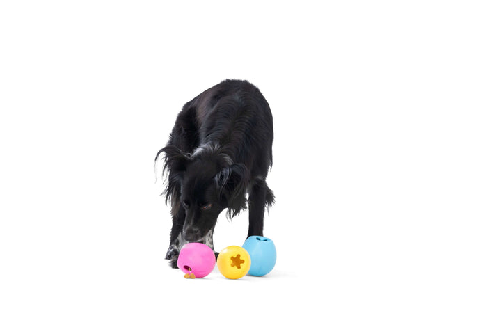 Rumbl® Puzzle Treat-Dispensing Enrichment Dog Toy: Hot Pink / S