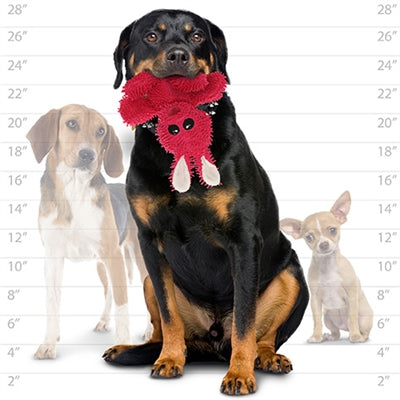 A size comparison image showing a large Rottweiler holding the pink plush bunny toy in its mouth, with a size chart featuring smaller dogs in the background.