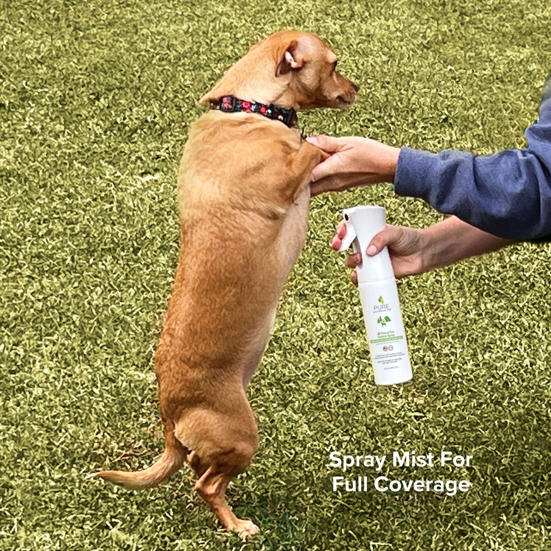Flea and Tick Spray for Dogs