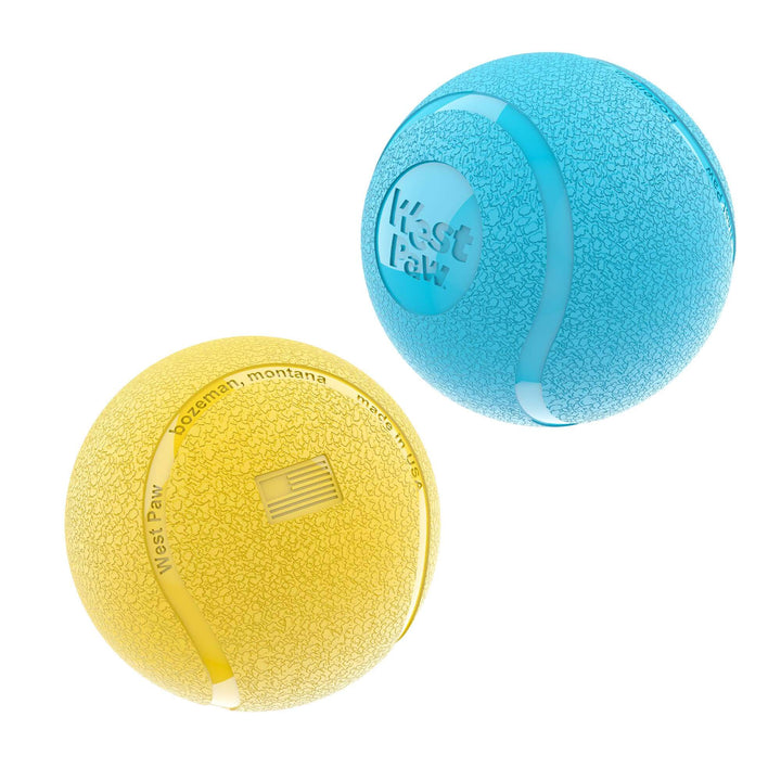 Boundr® 2-Pack Dog Toy Ball for Play, Chew, and Fetch: Aqua/Dandelion