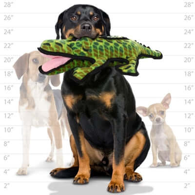 Size comparison chart showing a large dog holding a green alligator-shaped Tuffy toy in its mouth, with a beagle and a small dog for scale.