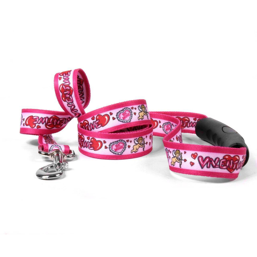 "Be My Valentine" Dog Leash – 3/4" x 6 Feet