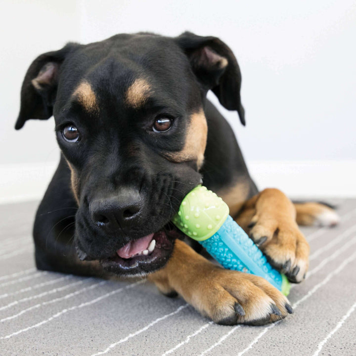 KONG® CoreStrength™ Bone Dog Chew Toy Medium/Large