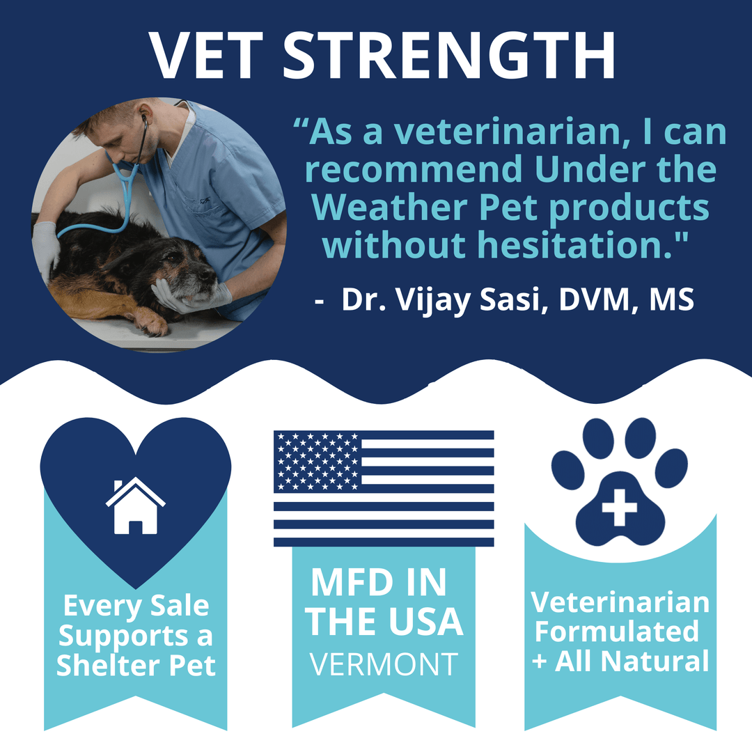Hip & Joint Mobility Soft Chews for Dogs