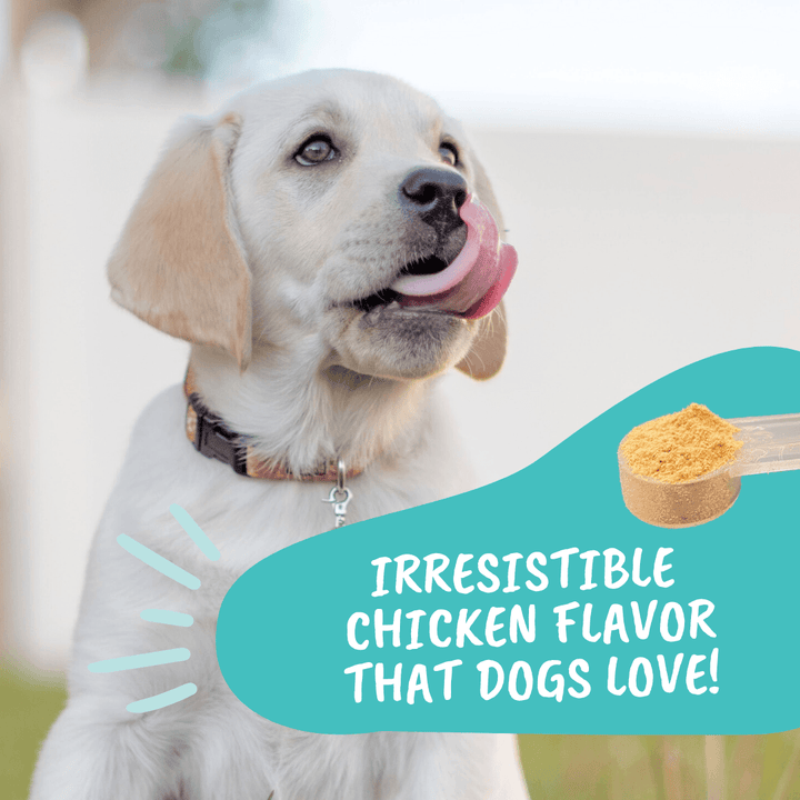 Under the Weather Probiotic Powder for Dogs