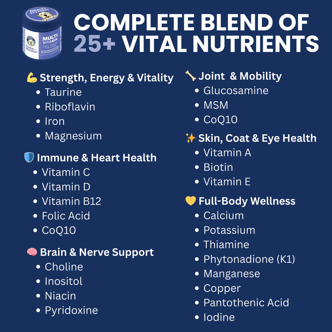 Multivitamin Daily Support Chews For Dogs