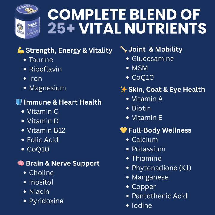 Multivitamin Daily Support Chews For Dogs