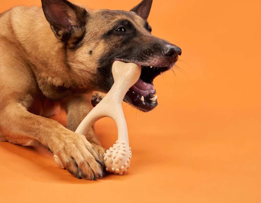 BetterBone Hard Beef Dog Chew Toy Large