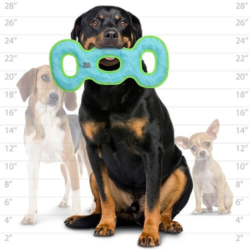 DuraForce® 3Way Tug Dog Toy
