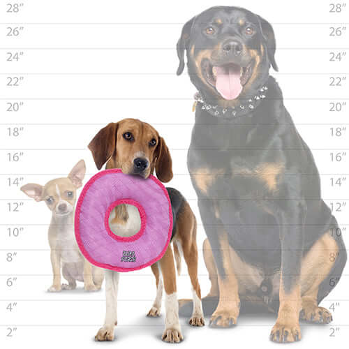 DuraForce® Ring Dog Toy
